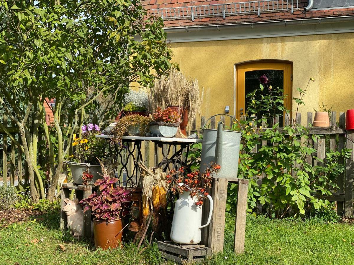 Moderne Pension Vonbartsch Mit Ladestation In Der Saechsischen Schweiz Struppen Екстериор снимка
